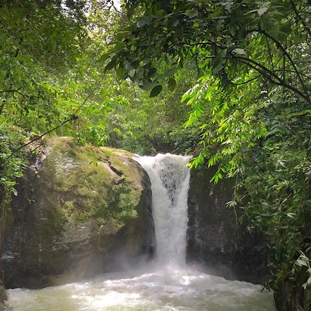 Rio Tico Safari Lodge Punta Mala Luaran gambar