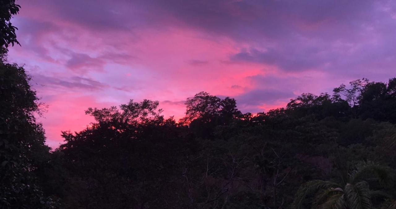 Rio Tico Safari Lodge Punta Mala Luaran gambar