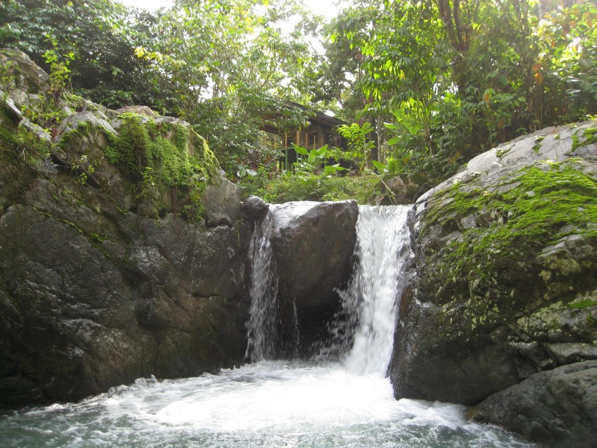 Rio Tico Safari Lodge Punta Mala Luaran gambar