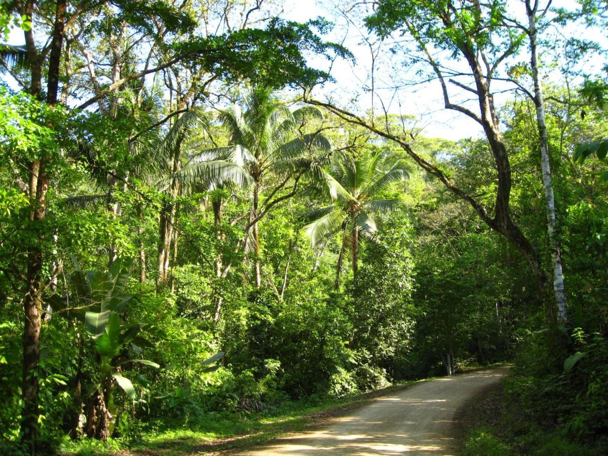Rio Tico Safari Lodge Punta Mala Luaran gambar