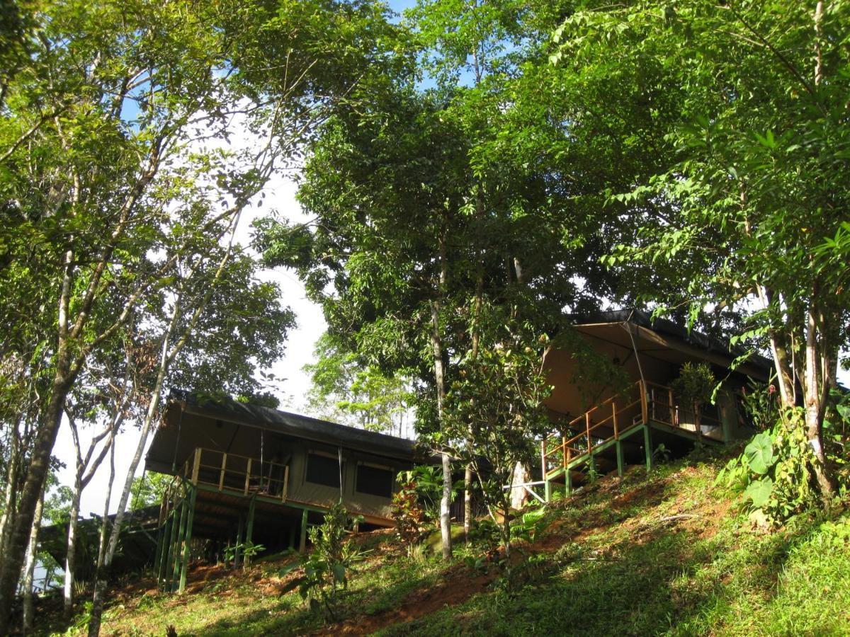 Rio Tico Safari Lodge Punta Mala Luaran gambar