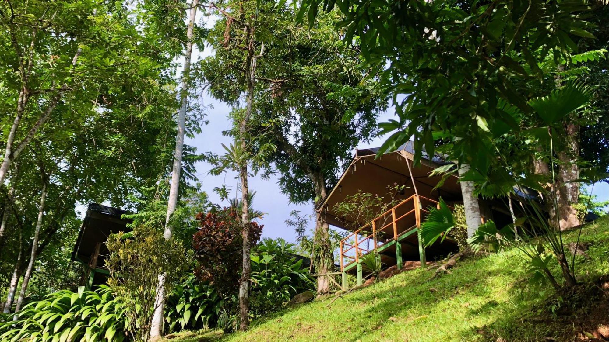 Rio Tico Safari Lodge Punta Mala Luaran gambar